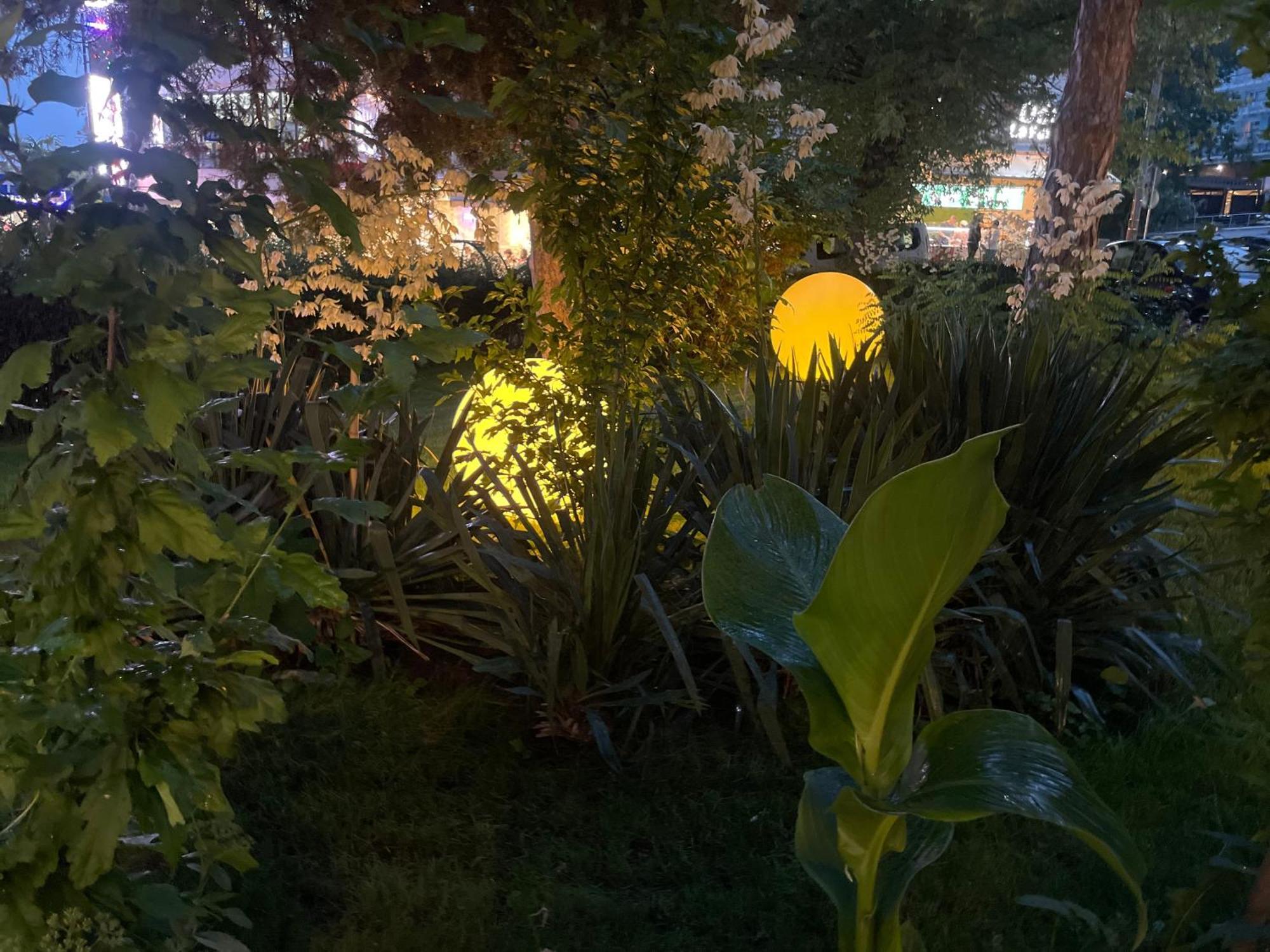 Hotel Carmen 艾福雷诺德 外观 照片